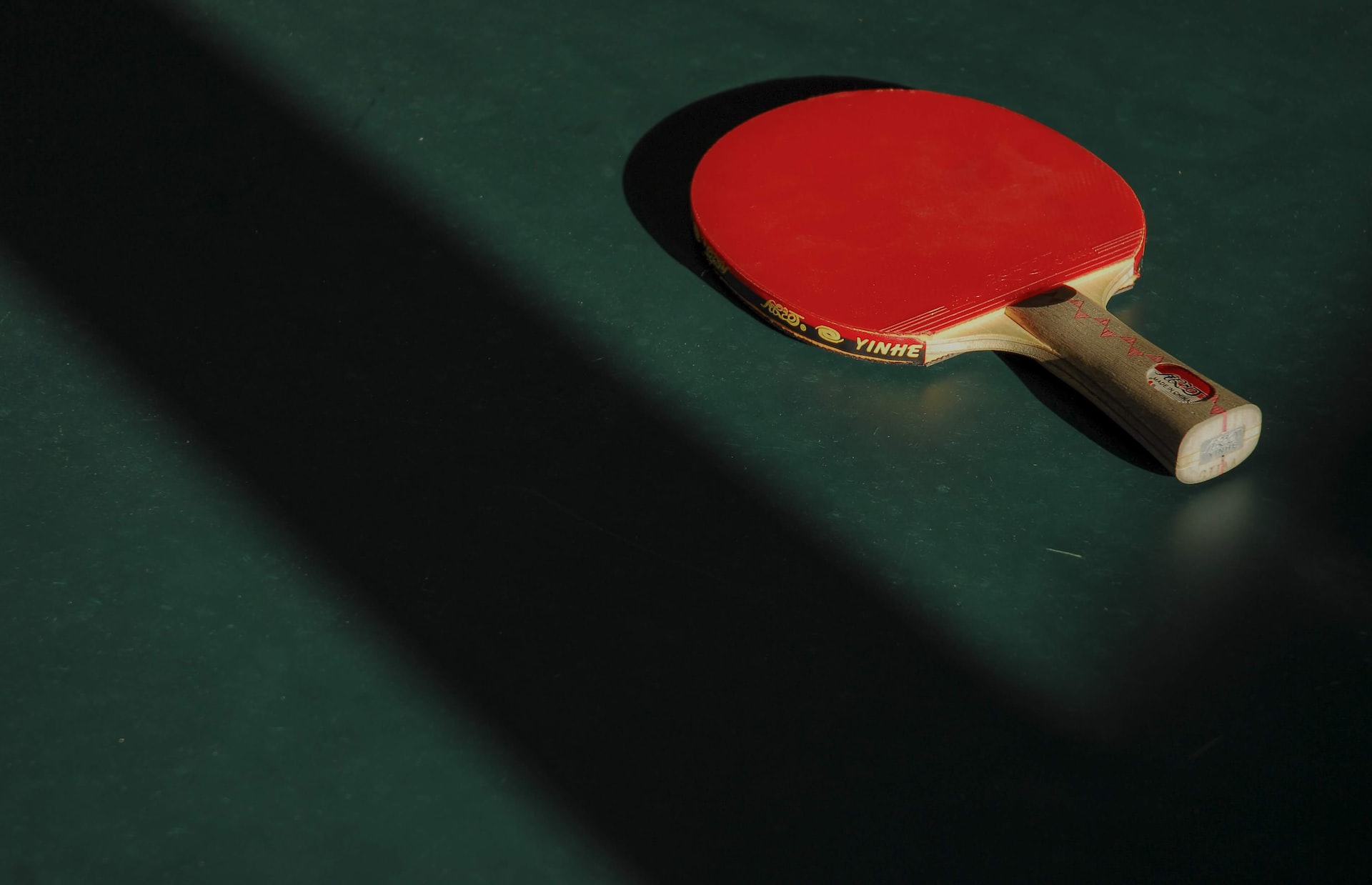 World’s best ping-pong players