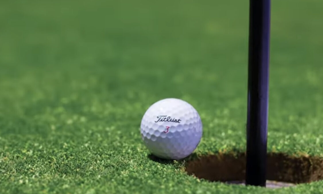 Golf ball in the grass